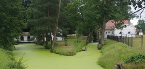 Processed by: Helicon Filter;